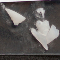 GHB molecular scheme