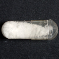 Cocaine molecular scheme