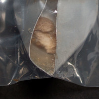 Crack molecular scheme