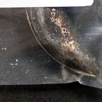 White Powder molecular scheme