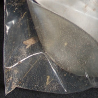 Tan Residue molecular scheme