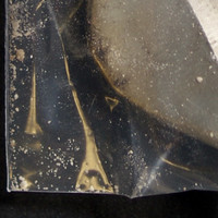 Fentanyl / Cocaine molecular scheme