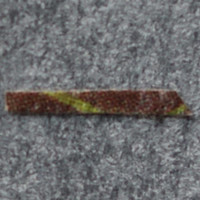 LSD Blotter molecular scheme