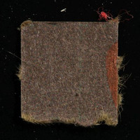 Schmetterling molecular scheme