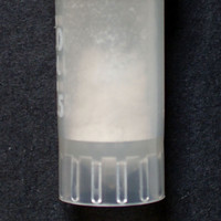 Molly molecular scheme