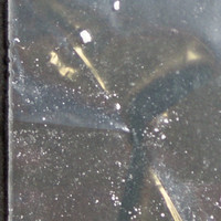 Crack molecular scheme