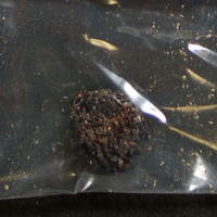 Crack molecular scheme