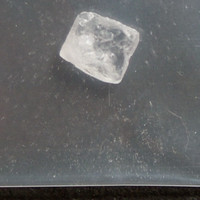 Molly molecular scheme