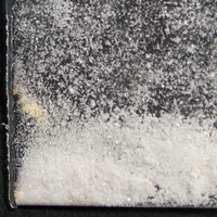 Molly molecular scheme