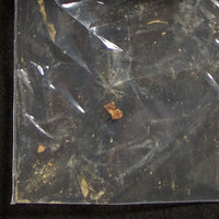 Crack molecular scheme