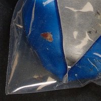 Brown Residue molecular scheme