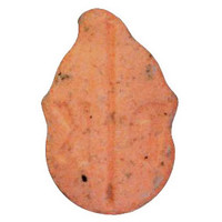 Donkey Kong molecular scheme