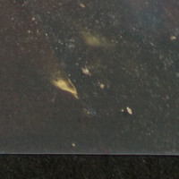 Tan Powder molecular scheme