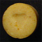 Heart molecular scheme