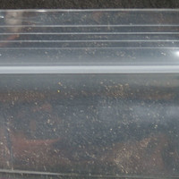 Crack molecular scheme