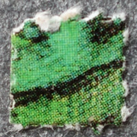 Guardsman LSD molecular scheme