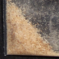 Foxy molecular scheme