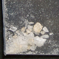 Molly molecular scheme