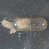 Molly molecular scheme