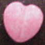 Heart molecular scheme