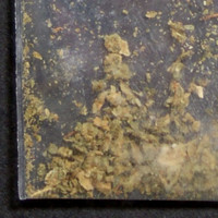 Cannabis molecular scheme