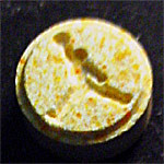 Slam Dunk molecular scheme