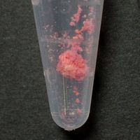 Tusi molecular scheme