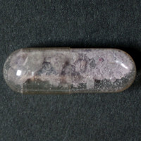 Molly molecular scheme