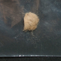 Tan Residue molecular scheme