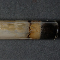 Crack molecular scheme