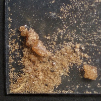 Cola MDMA molecular scheme