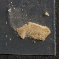 Fentanyl molecular scheme