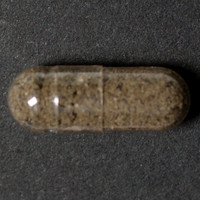 Molly molecular scheme