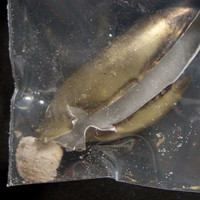 White Residue molecular scheme