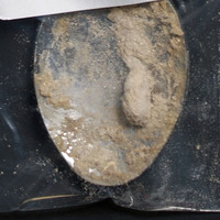 Fentanyl molecular scheme