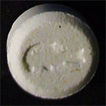 Alligator molecular scheme