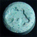 Dolphin molecular scheme