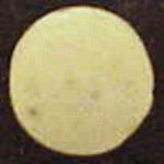 Bumblebee molecular scheme