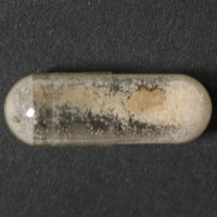 Molly molecular scheme