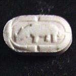 Rhino molecular scheme