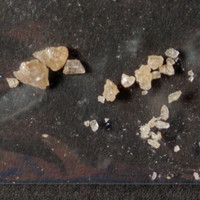 Molly molecular scheme