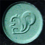 Squirrel molecular scheme