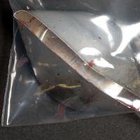 Cocaine molecular scheme