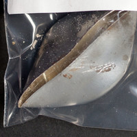 Fentanyl molecular scheme