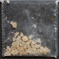 MDMA molecular scheme