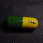 PML molecular scheme