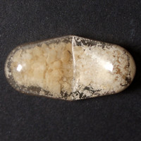 Molly molecular scheme