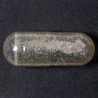 Molly molecular scheme