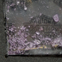 Molly molecular scheme