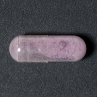 Molly molecular scheme